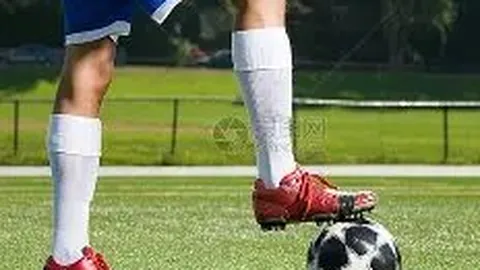 开云体育在线 产品 103612 mnx