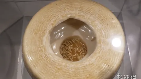 开云体育在线 资讯 101005 nn0