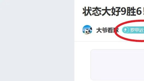 大乐透期号专家质合分析：亚穆尼主场挑战，能否爆冷取胜